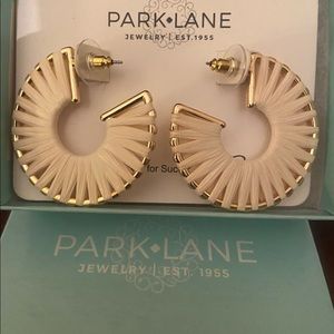 New park lane canyon hoop earrings